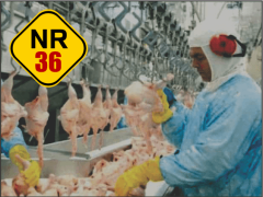 NR-36-480x361